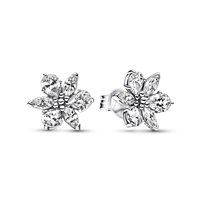Orecchini Pandora Donna Pandora Timeless in Argento Zirconia 292633C01 - 292633C01